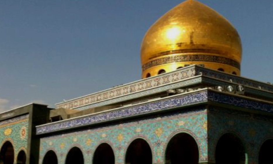 Banksia的 Sayeda Zainab